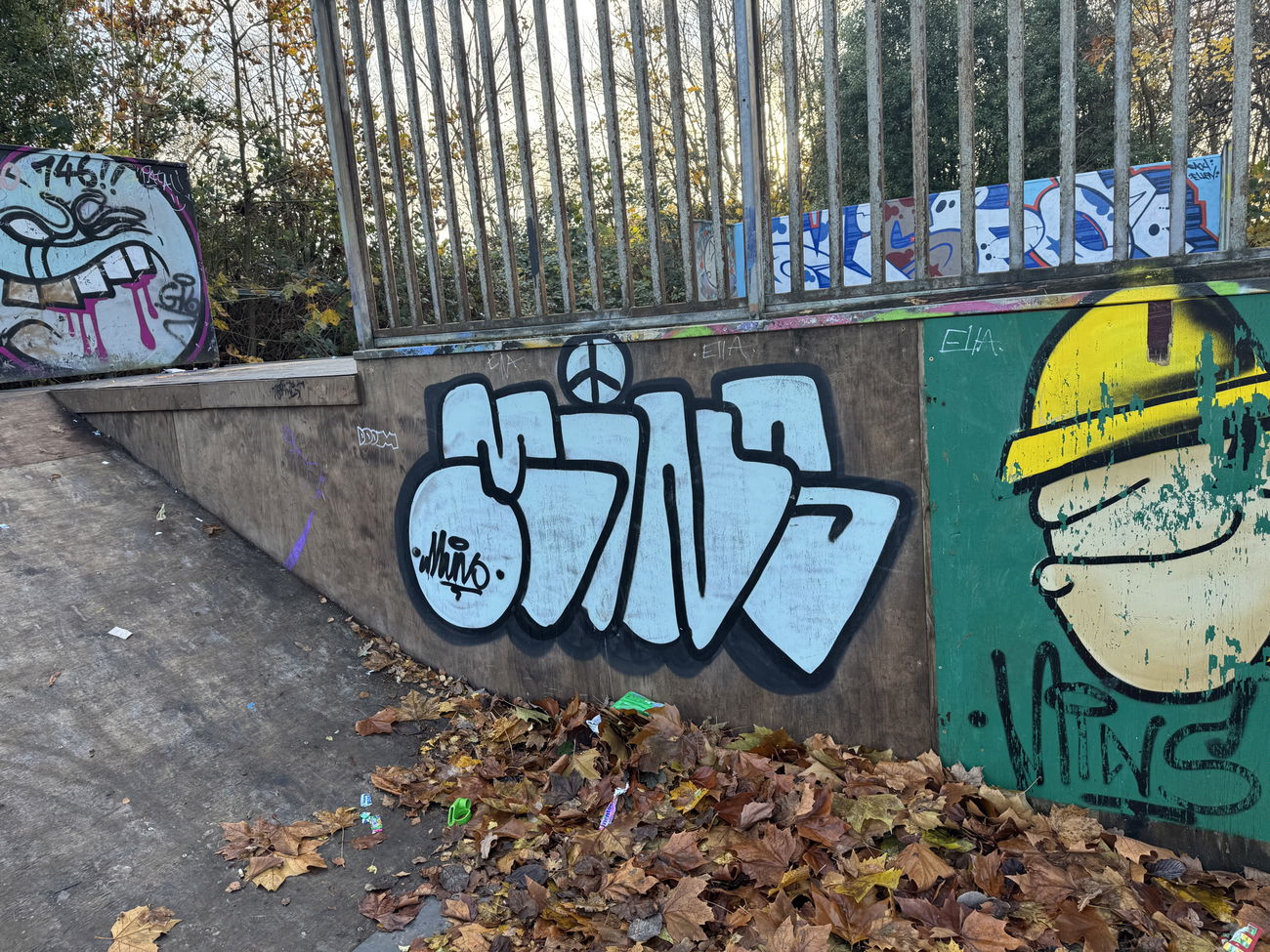 Graffiti Wall in Farnborough skate park - Photo by Chels23 - Mins, Aldershot, aldershotgraffiti (2023)