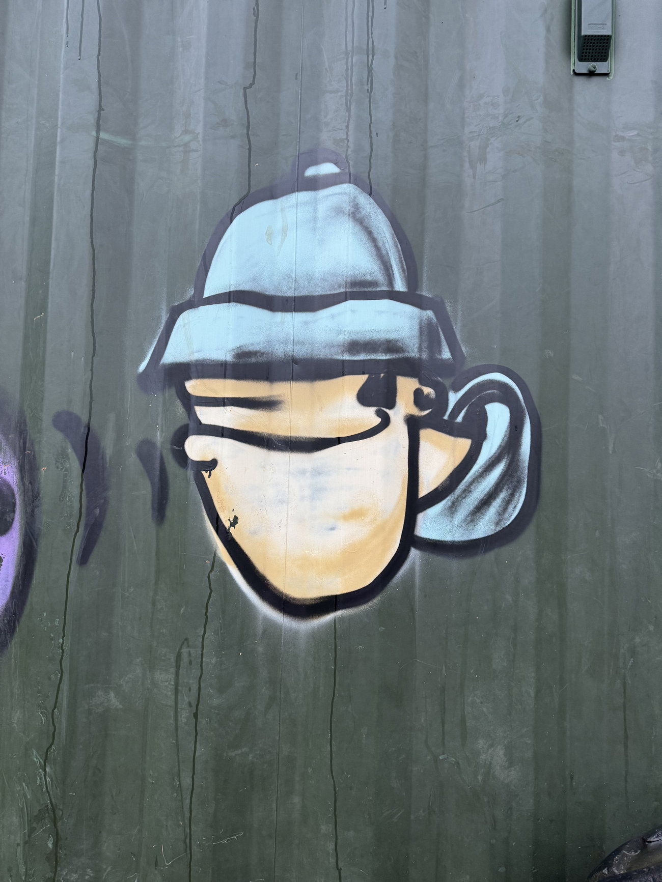 Graffiti Bombing in Aldershot park - Photo by Chels23 (2024)