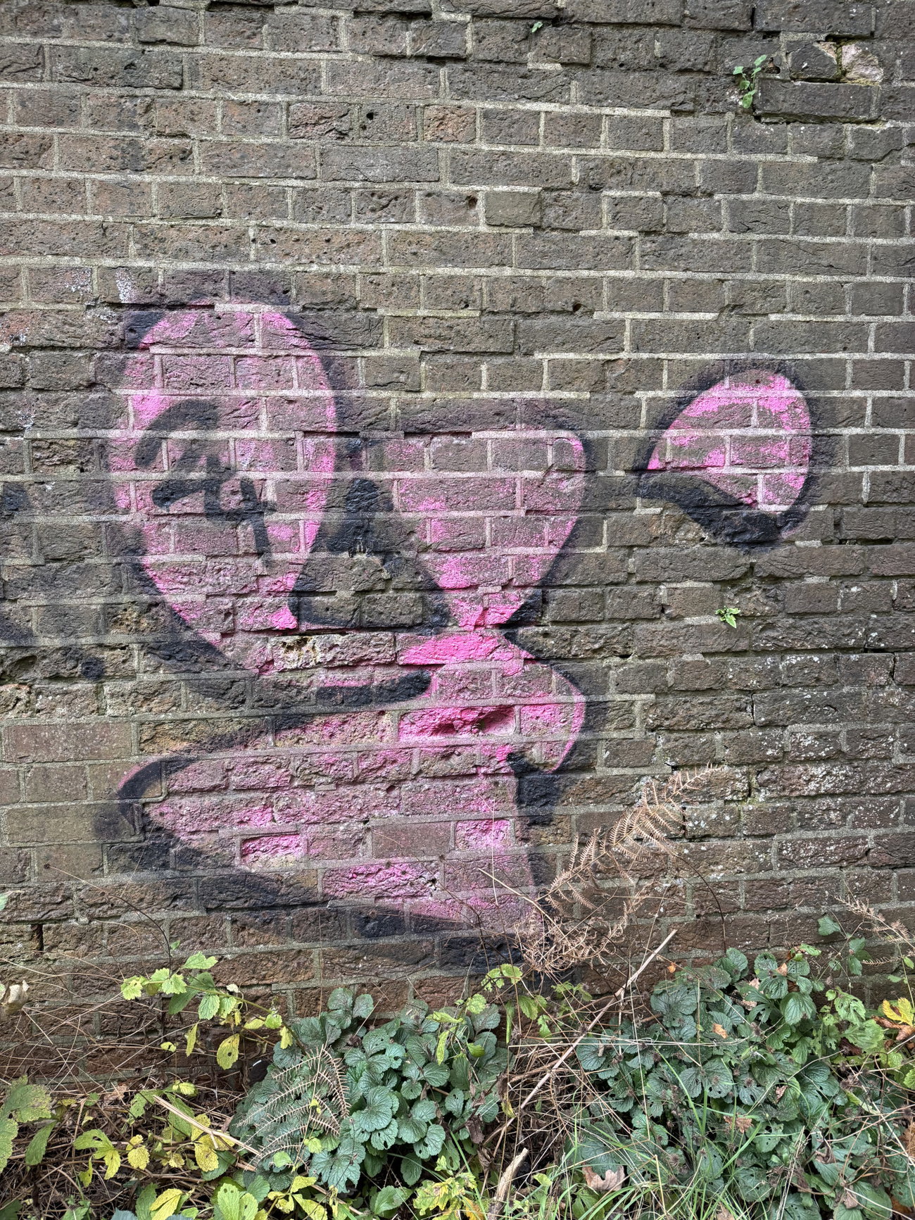 Graffiti Wall in Rushmoor - Photo by Chels23 - Aldershotgraffiti (2024)