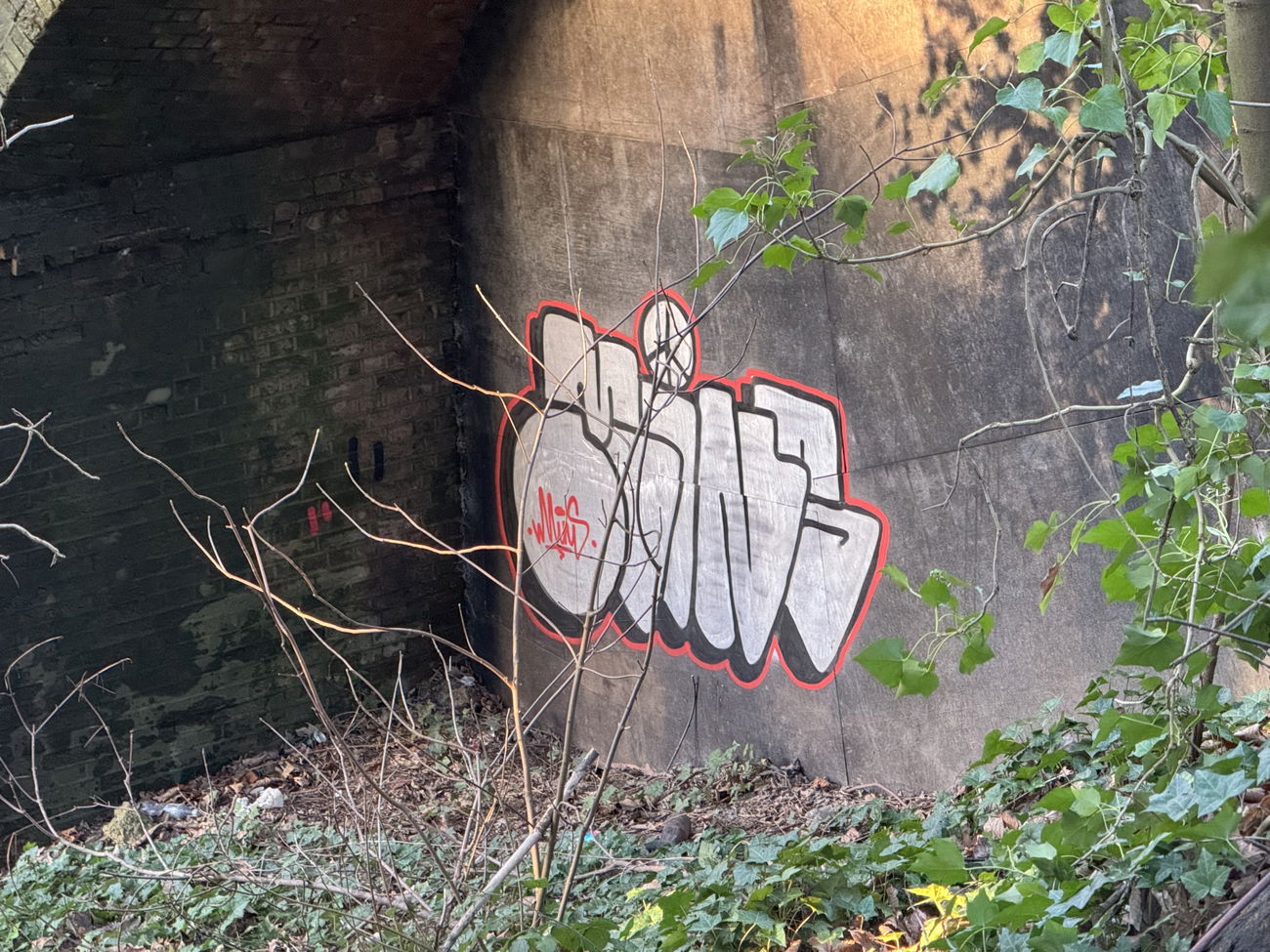 Graffiti Wall - Photo by Chels23 (2024)