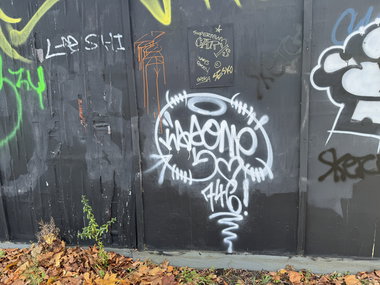 Graffiti Bombing - Photo by Chels23