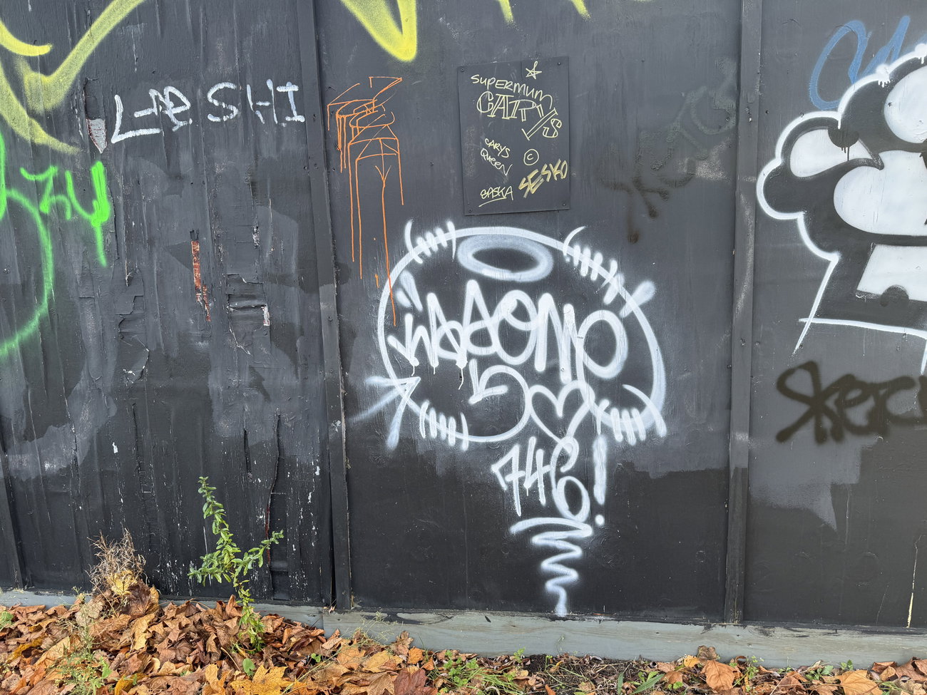 Graffiti Bombing - Photo by Chels23