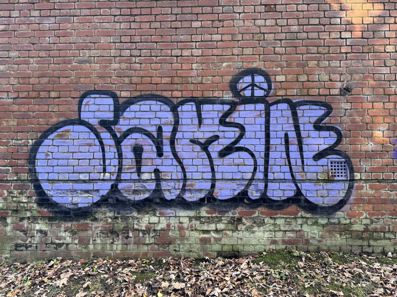 Graffiti in Rushmoor - Photo by Chels23 (2024)