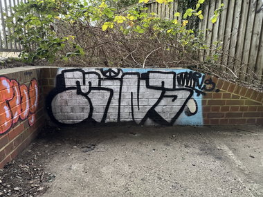 Graffiti Bombing in Ash aqueduct - Photo by Chels23 - Aldershotgraffiti (2024)