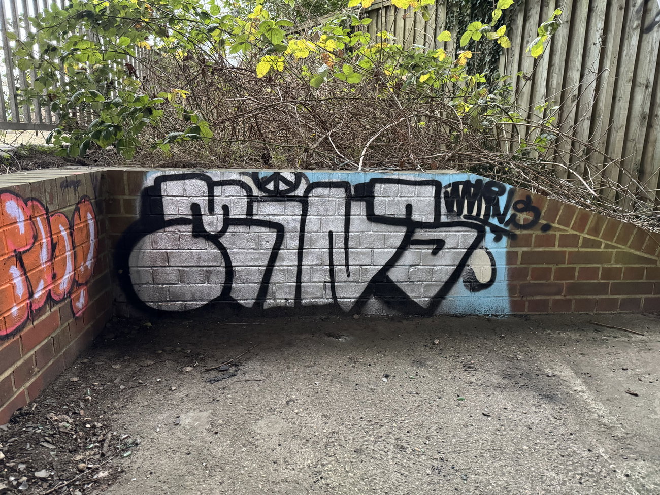 Graffiti Bombing in Ash aqueduct - Photo by Chels23 - Aldershotgraffiti (2024)