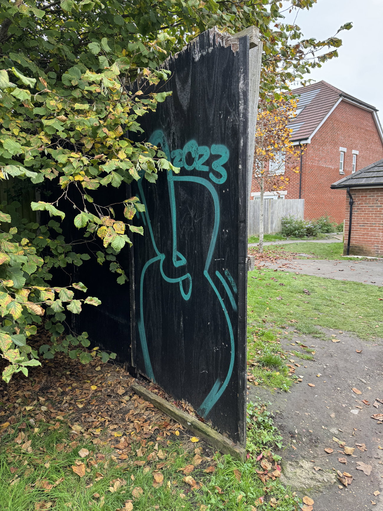 Graffiti Bombing - Photo by Chels23 - Aldershotgraffiti (2023)