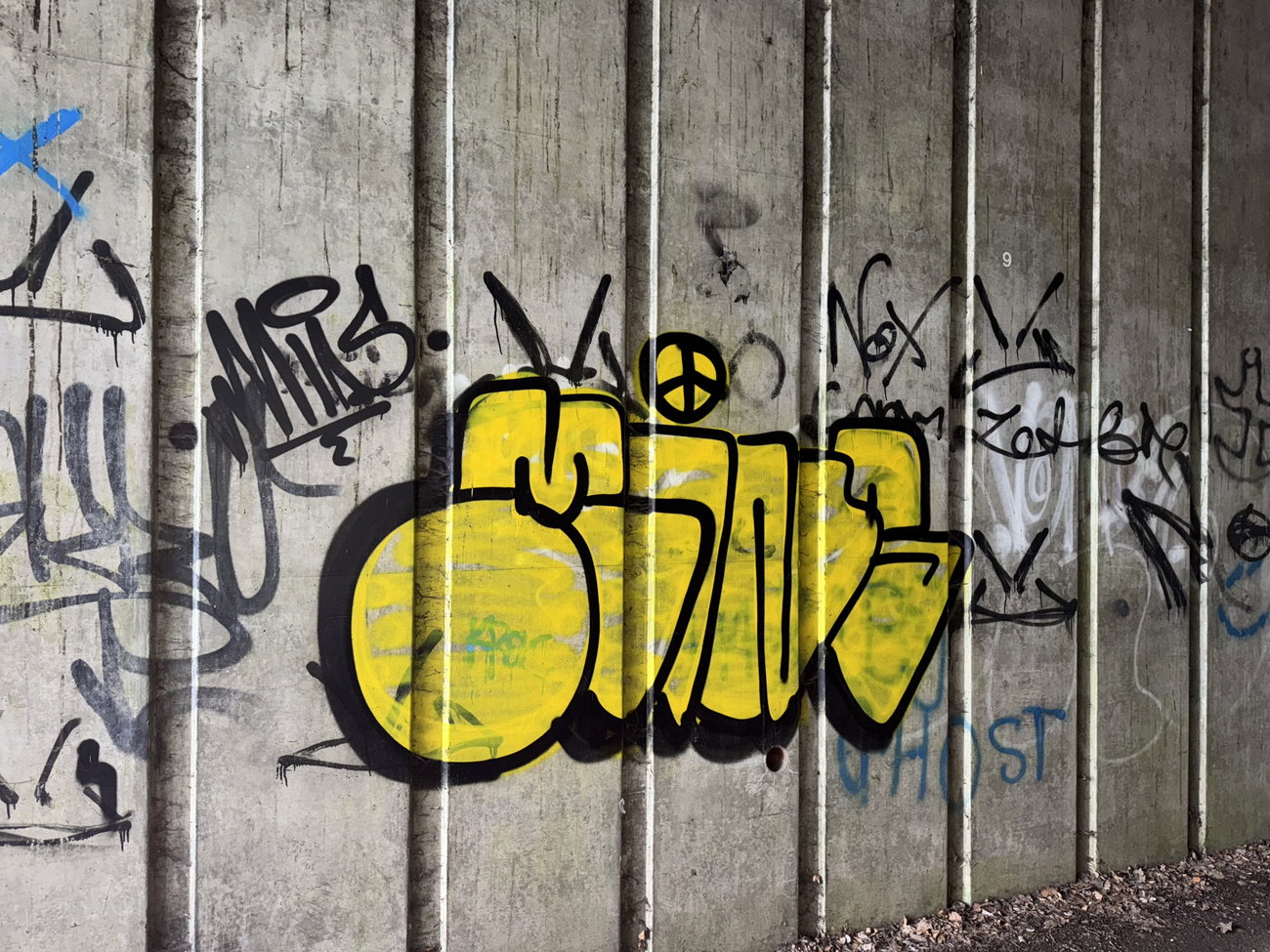 Graffiti Bombing in Kingfisher on the quay - Photo by Chels23 - Aldershotgraffiti (2024)