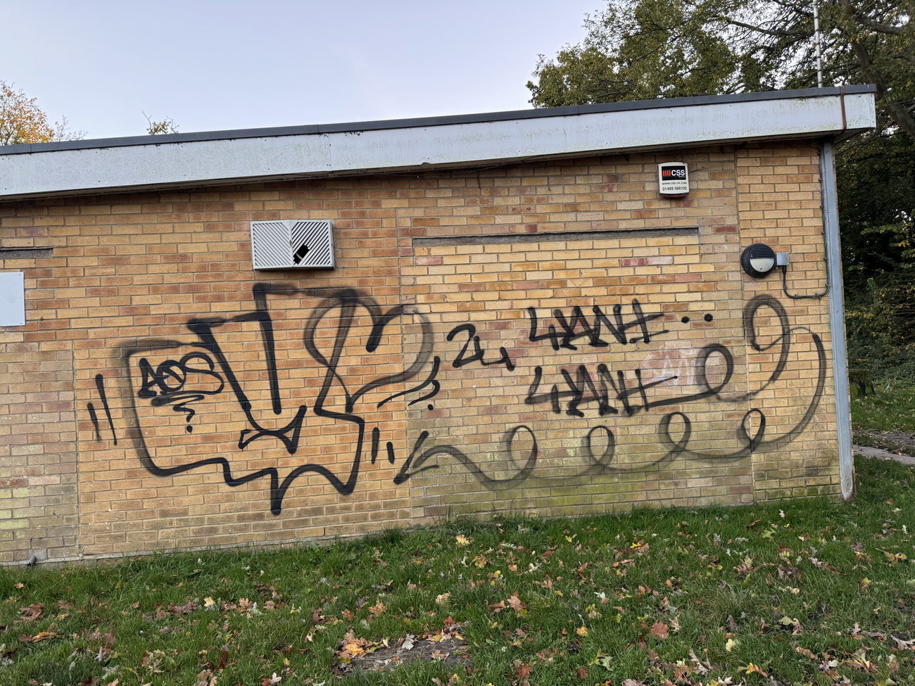 Graffiti Street Art in Aldershot - Photo by Chels23 (2024)