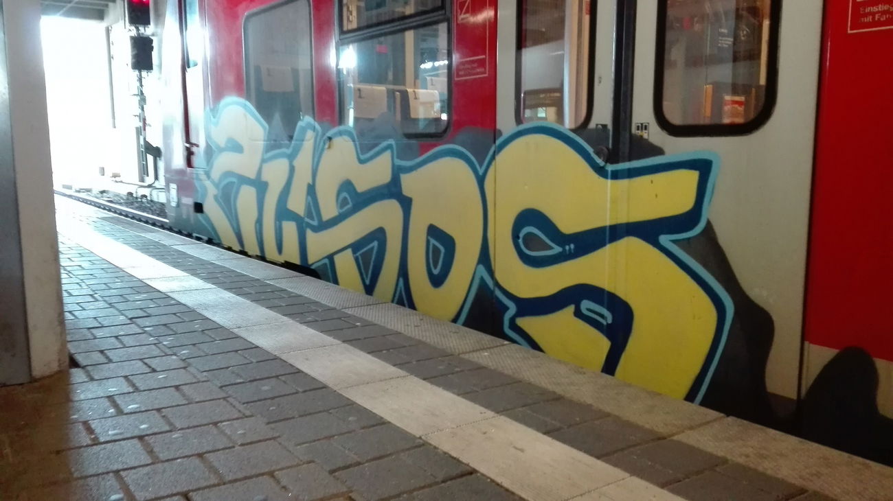 Graffiti Train in Mainz - Photo by Chintz (2016)