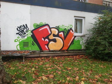 Graffiti Bombing in Mainz - Photo by Chintz - FSV, Mainz, Uni (2014)