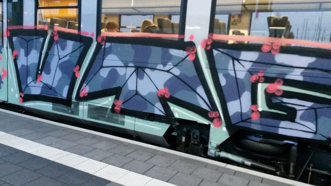 Graffiti Train in Mainz - Photo by Chintz - VTG, Mainz, Hbf (2015)