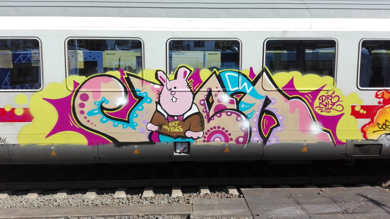 Graffiti Train in Mainz - Photo by Chintz (2016)
