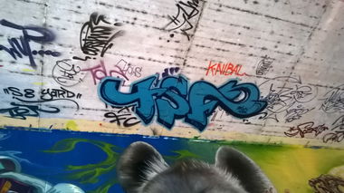 Graffiti Artwork in Wiesbaden - Photo by Chintz - Meeting, of, Styles (2015)