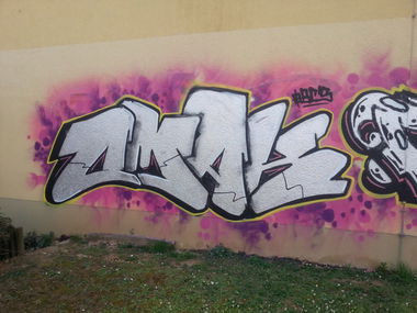 Graffiti Bombing in Mainz - Photo by Chintz - Uni, Mainz (2015)