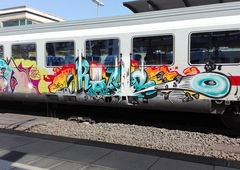 Photo #186164 by Belt