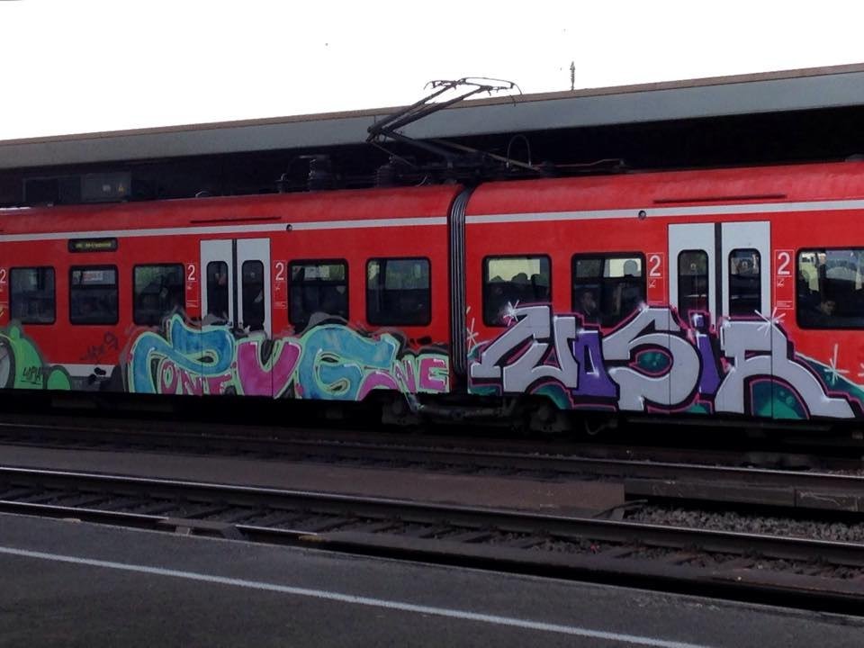 Graffiti Train in Ludwigshafen am Rhein - Photo by Chintz - Ludwigshafen, am, Rhein (2015)