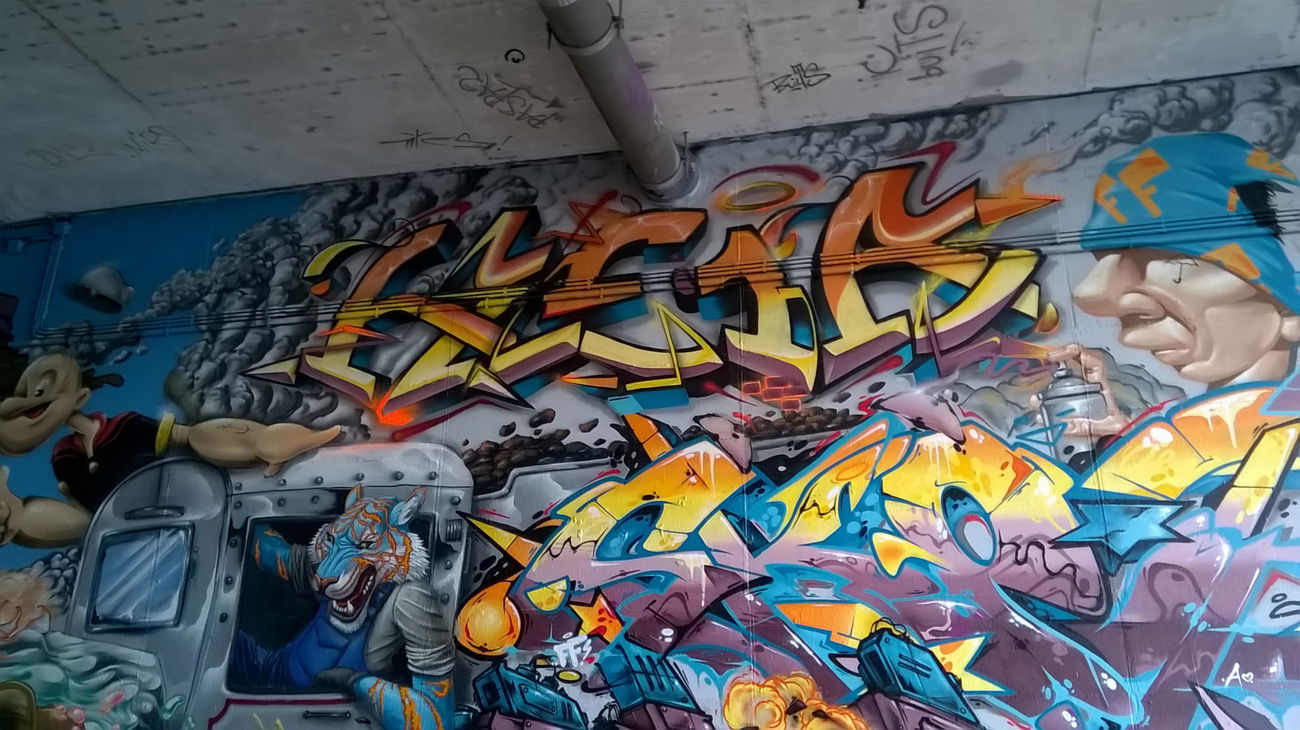 Graffiti Wall in Wiesbaden - Photo by Chintz - Meeting, of, Styles (2015)
