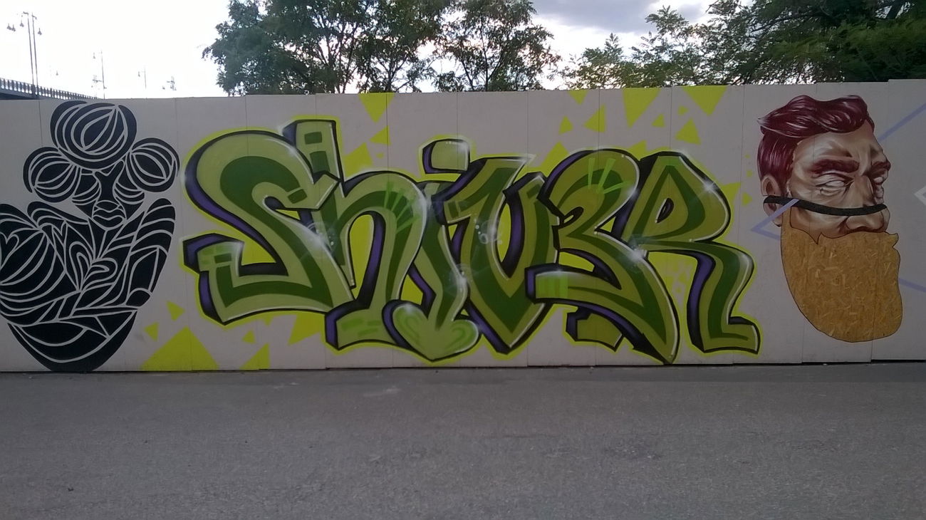 Graffiti Wall in Wiesbaden - Photo by Chintz - Meeting, of, Styles (2015)
