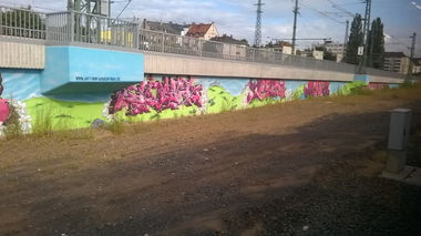Graffiti Wall in Mainz - Photo by Chintz (2015)