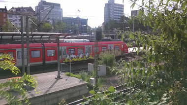 Graffiti Train in Mainz - Photo by Chintz (2015)