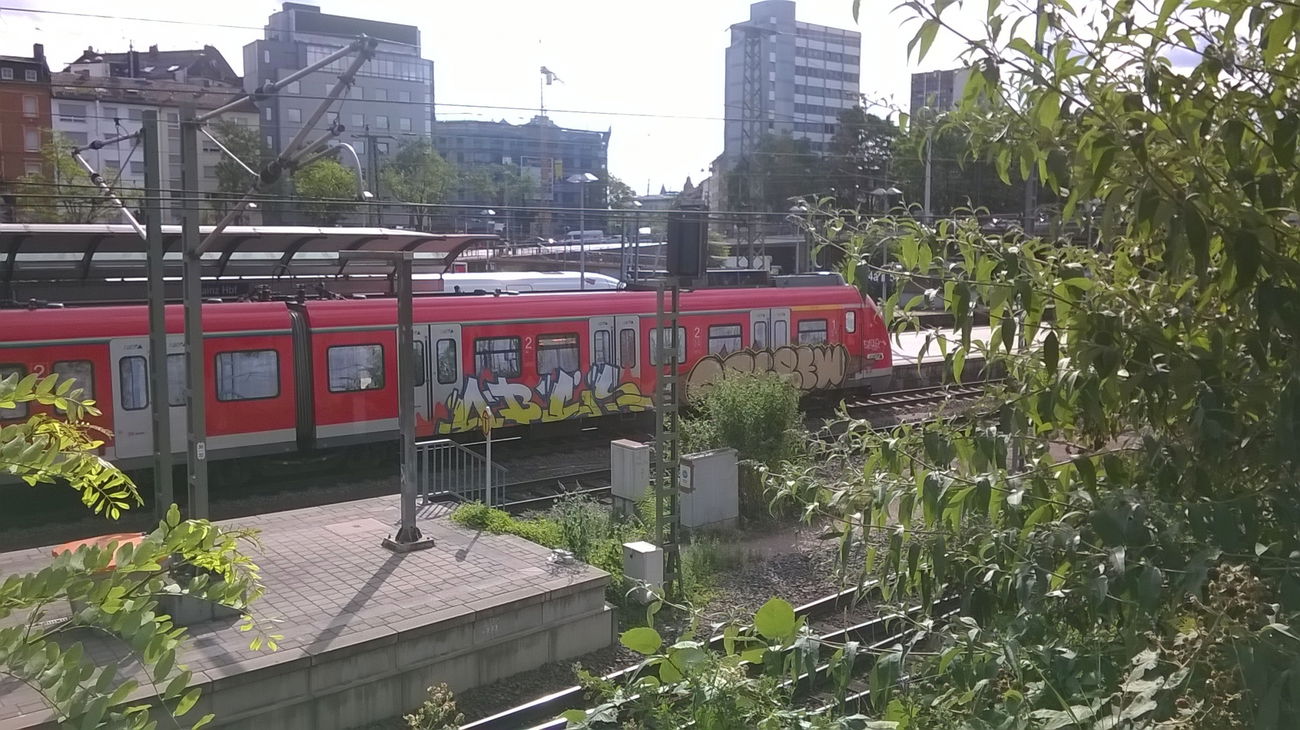 Graffiti Train in Mainz - Photo by Chintz (2015)