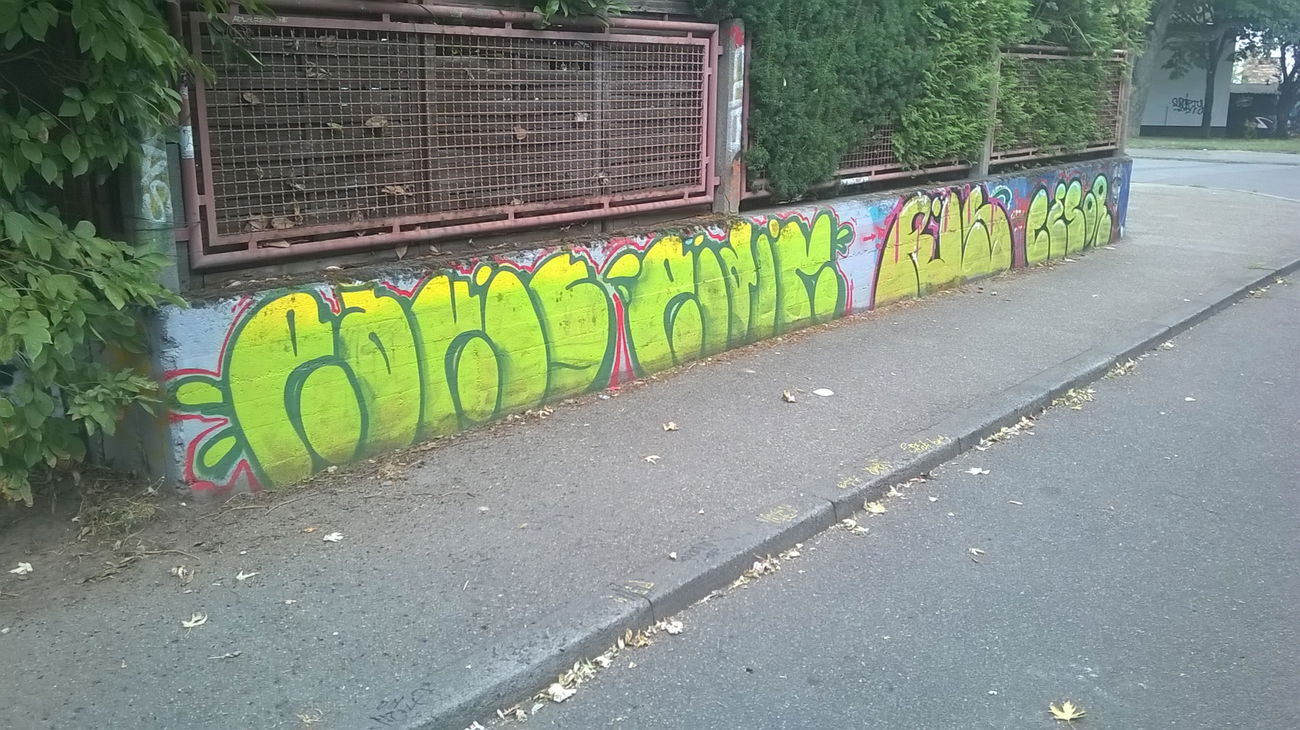 Graffiti Bombing - Photo by Chintz (2015)