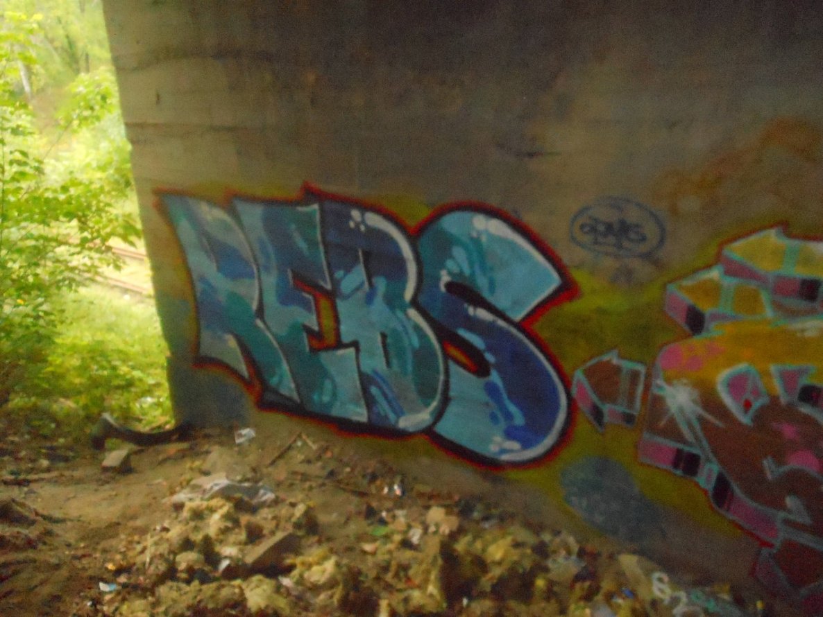 Graffiti Bombing - Photo by ChopackStarofa - Rbs, Rebs, crew (2013)