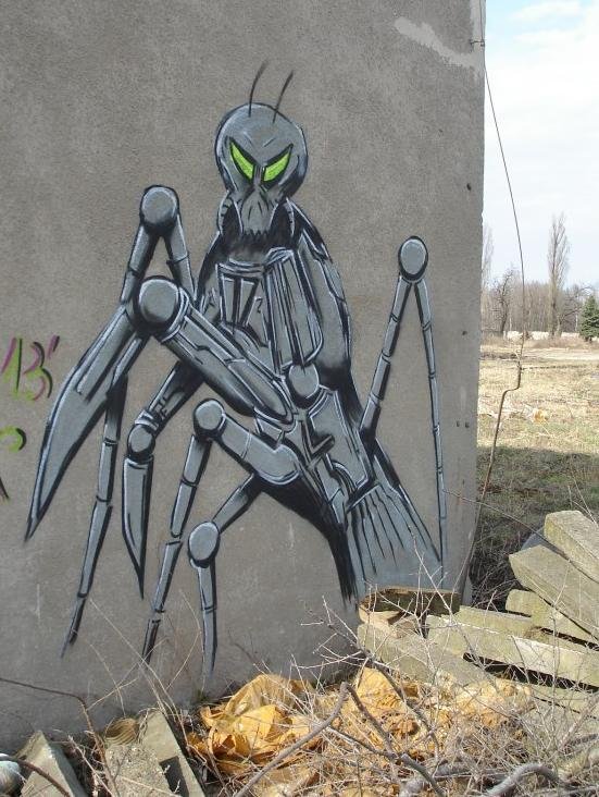 Graffiti Wall - Photo by Cisowiana
