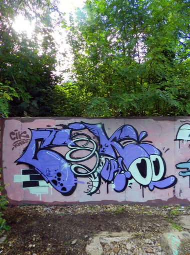 Graffiti Wall - Photo by CityImKopp - Dresden, cik (2015)