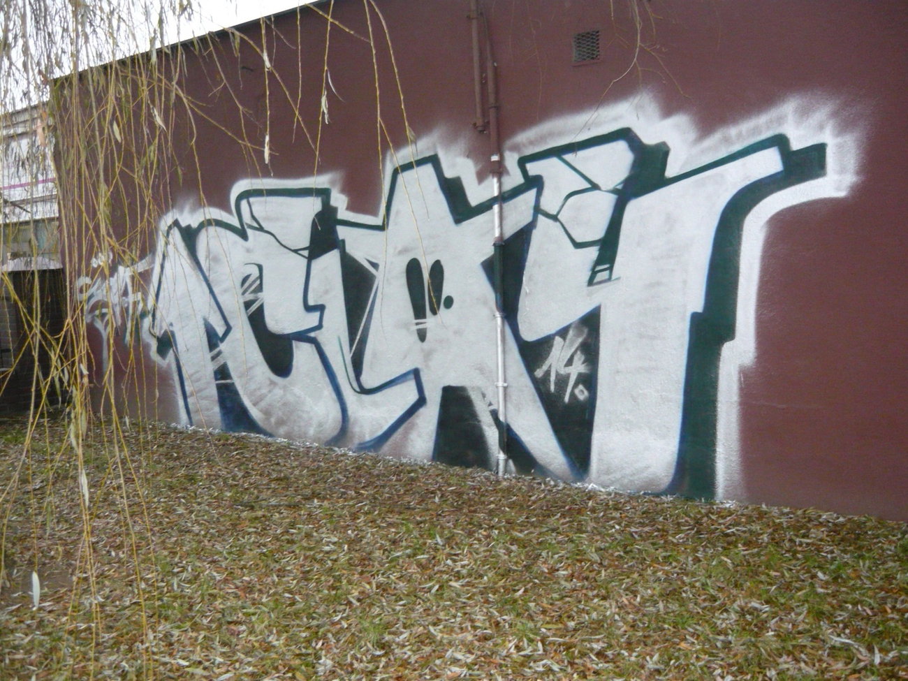 Graffiti Bombing - Photo by Cluiv (2014)