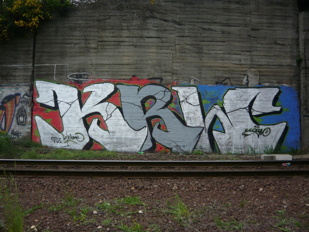 Graffiti Bombing - Photo by Cluiv (2015)