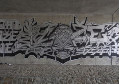 Photo #107224 by TagHagel