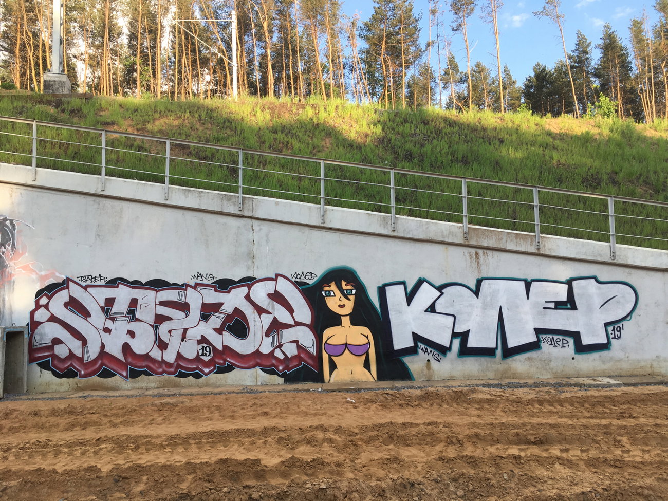 Graffiti Wall - Photo by Coler - stade, wang, колер (2019)