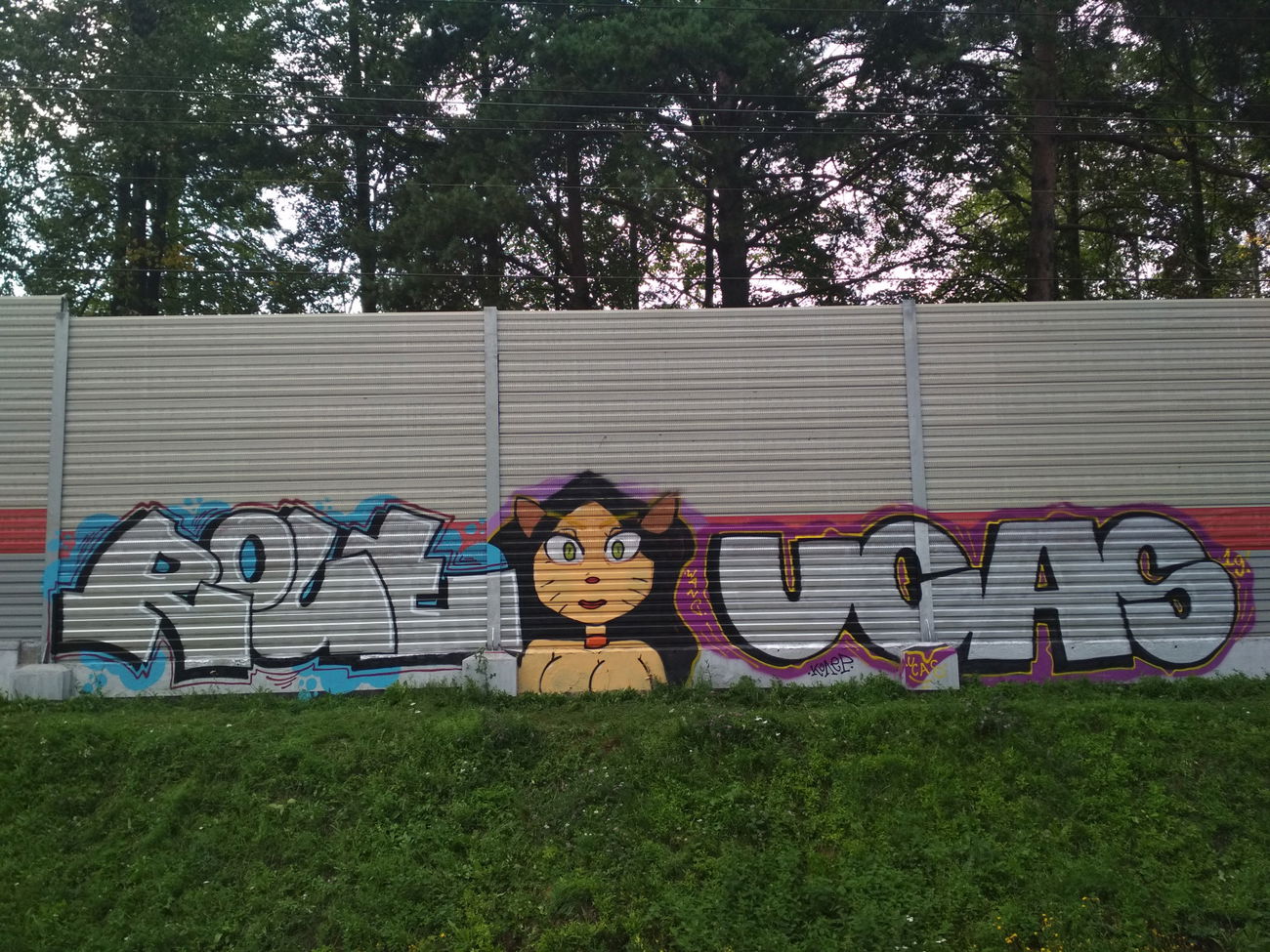 Graffiti Wall - Photo by Coler - rout, wang, koler (2019)