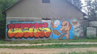 Graffiti Bombing in Russia - Photo by Coler - coler, wang