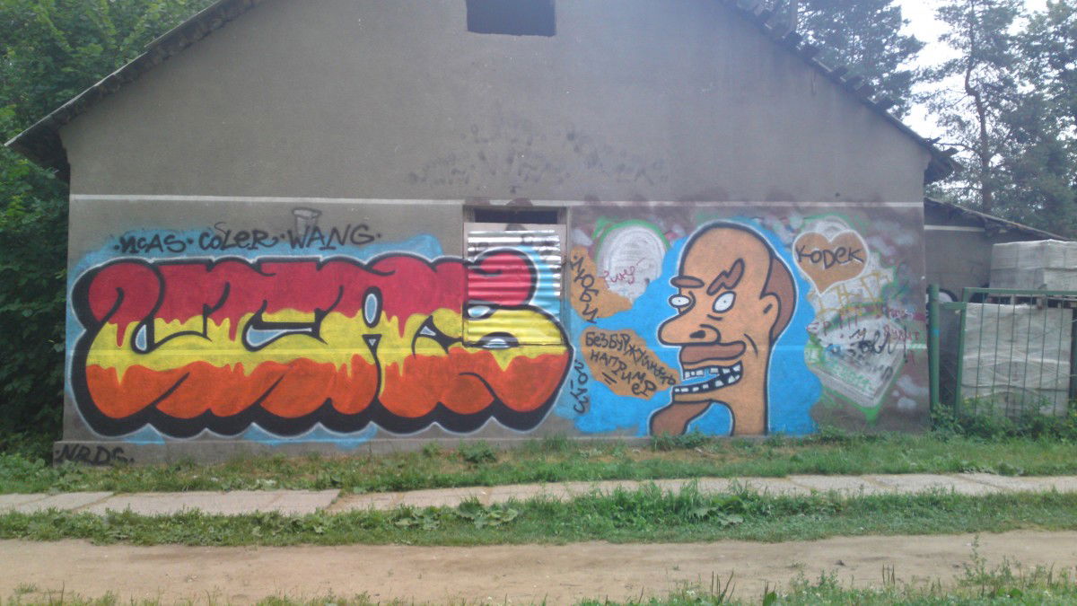 Graffiti Bombing in Russia - Photo by Coler - coler, wang