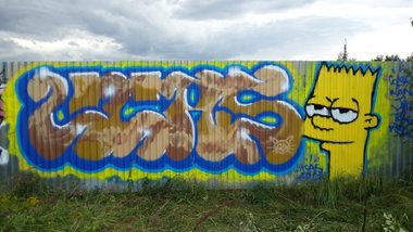 Graffiti Wall - Photo by Coler - ucas, ucats, ucat (2013)