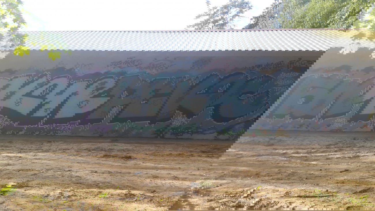 Graffiti Bombing - Photo by Coler - ????, ?????, ????? (2014)