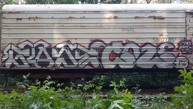 Graffiti Train - Photo by Coler - stade, coler, ucas (2014)
