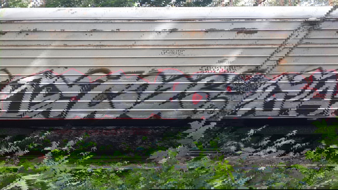 Graffiti Train - Photo by Coler - stade, coler, ucas (2014)