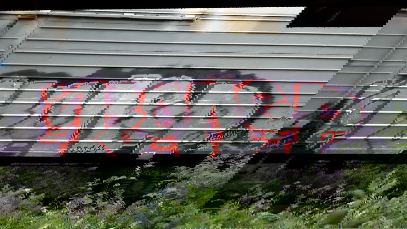 Graffiti Train - Photo by Coler - ?????, coler, ucas (2014)