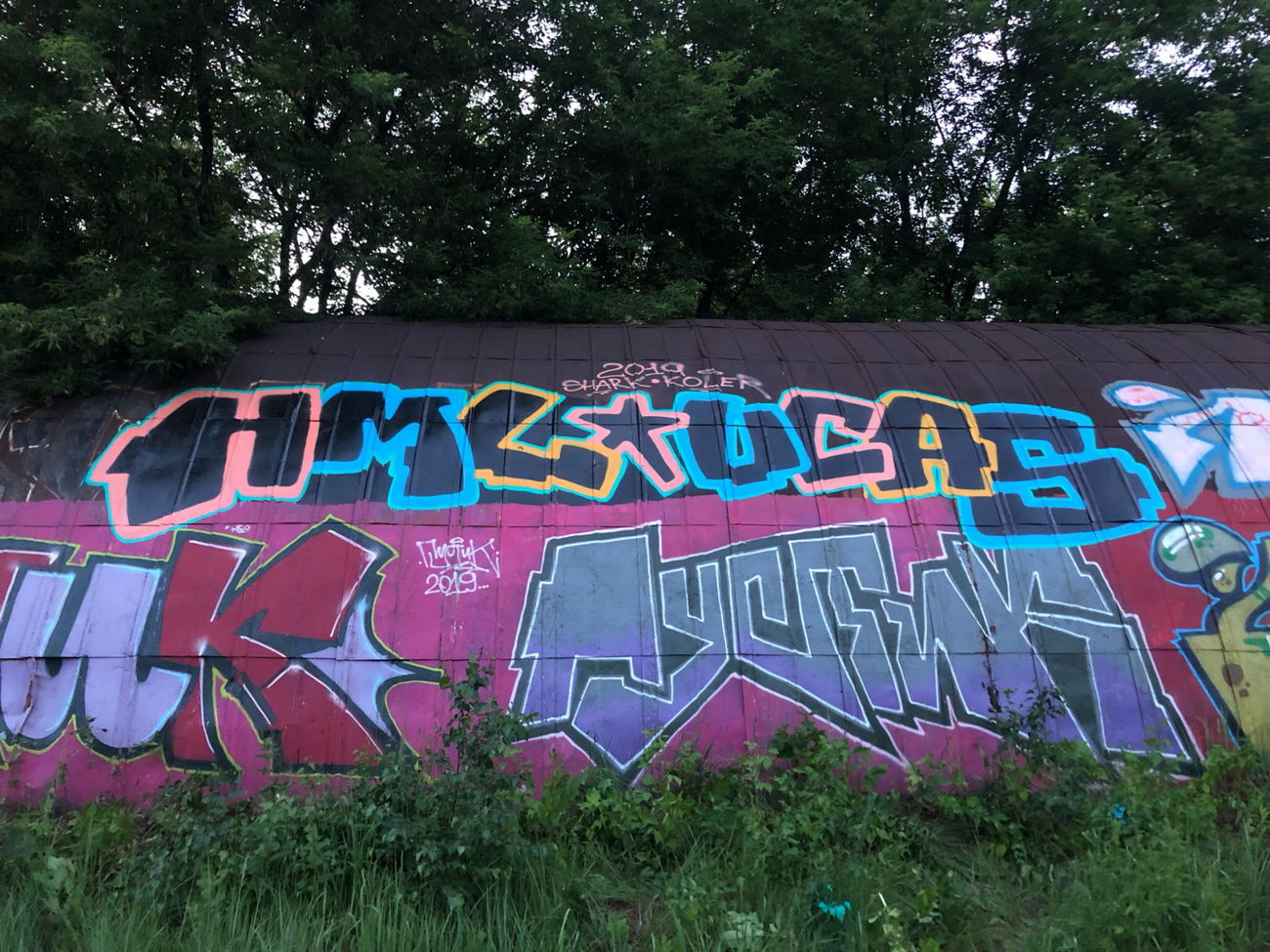 Graffiti Wall - Photo by Coler - hml, crew, ucas (2019)