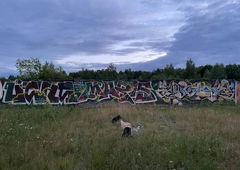 Graffiti Wall - Photo by Coler - ucas, ucascrew, koler (2022)
