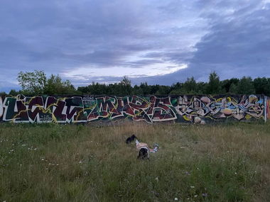 Graffiti Wall - Photo by Coler - ucas, ucascrew, koler (2022)