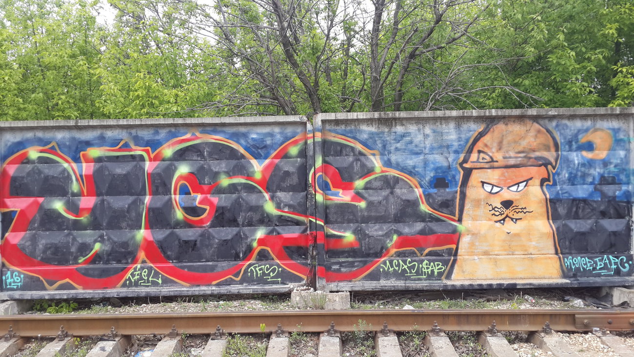 Graffiti Wall - Photo by Coler - ucas, crew, ucas (2016)
