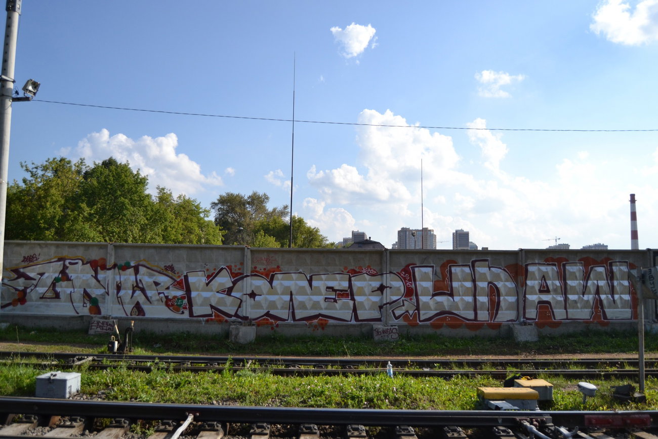 Graffiti Wall - Photo by Coler - bars, барс, koler (2016)