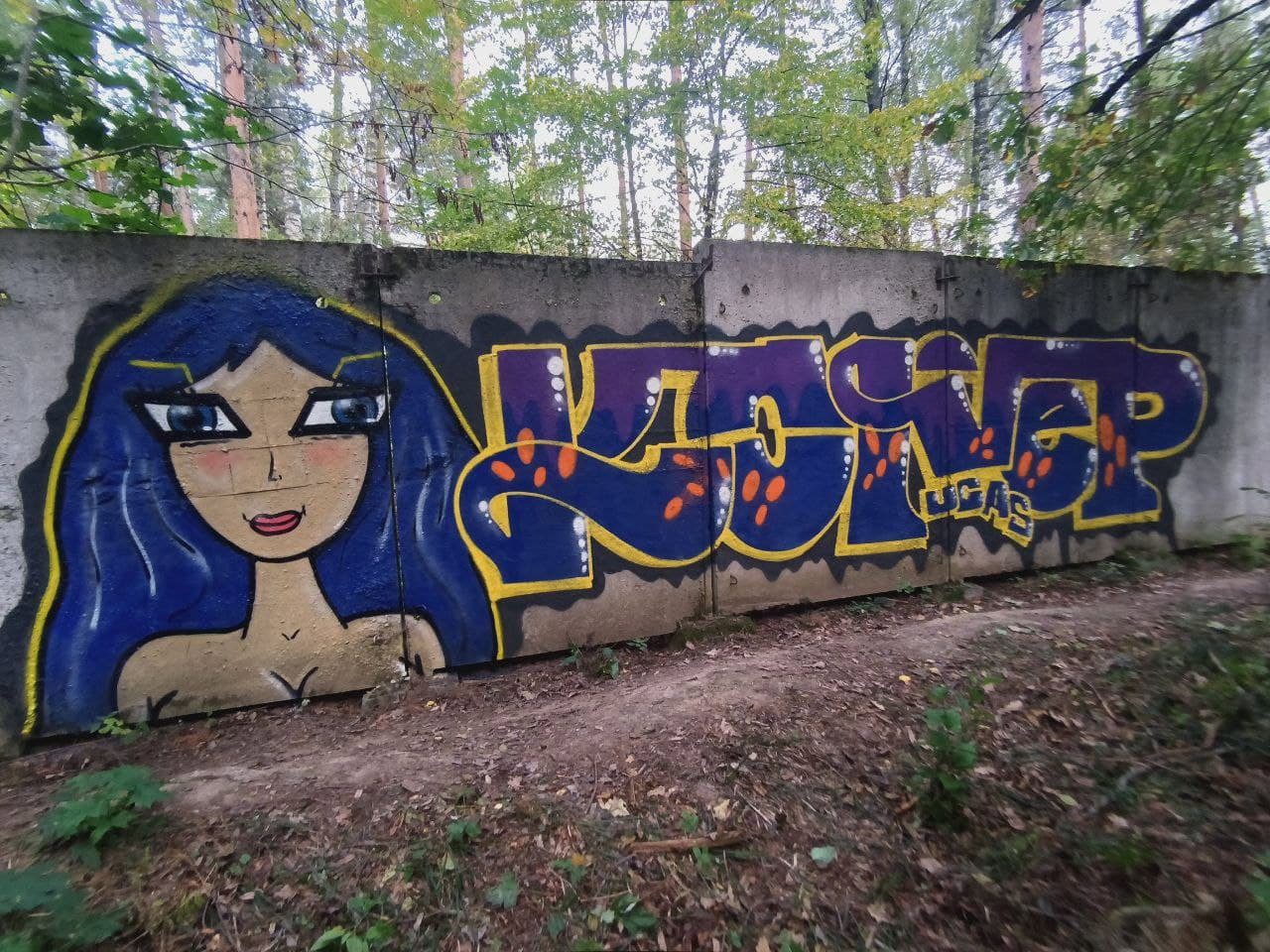 Graffiti Wall - Photo by Coler - wang, koler, coler (2021)