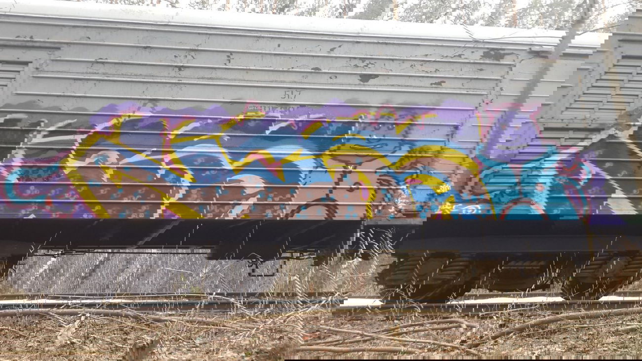 Graffiti Train - Photo by Coler - ucas, ucas, crew (2015)
