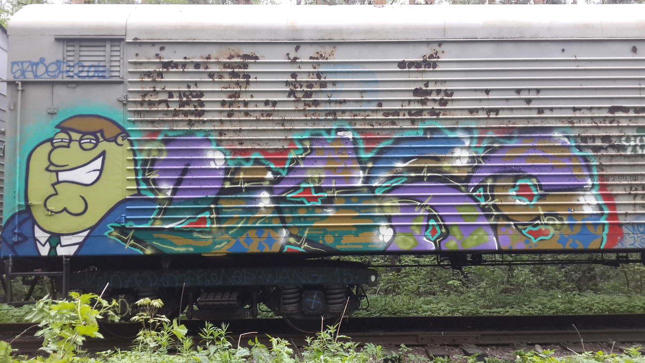 Graffiti Train - Photo by Coler - ucas, ucas, crew (2015)