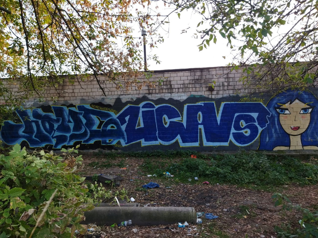 Graffiti Wall - Photo by Coler - home, колер, coler (2021)